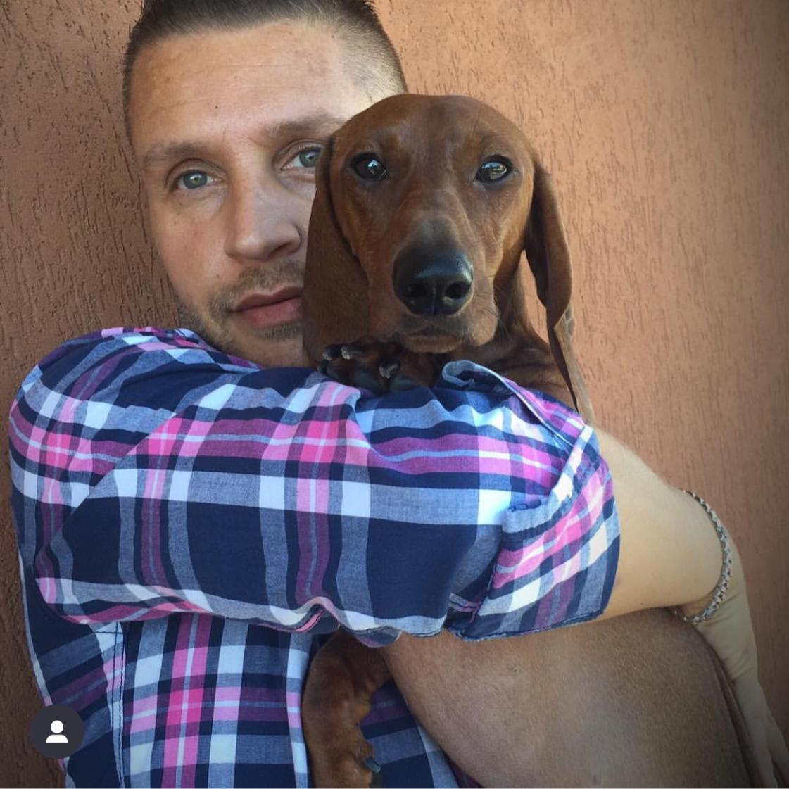 Turbo Dach Allevamento Bassotto Tedesco a Pelo Corto - Via Cava ...